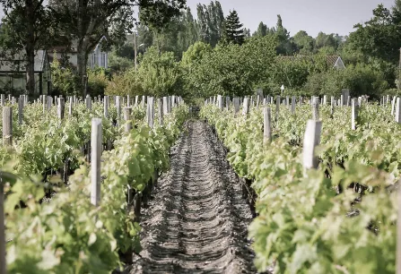 bdx 2023 header