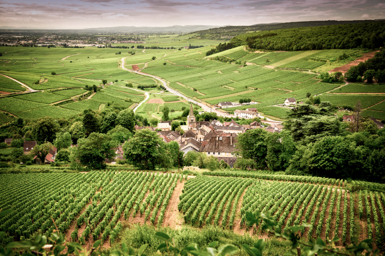 Chablis.jpg