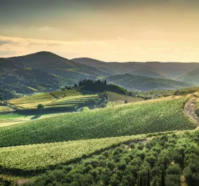 chianti