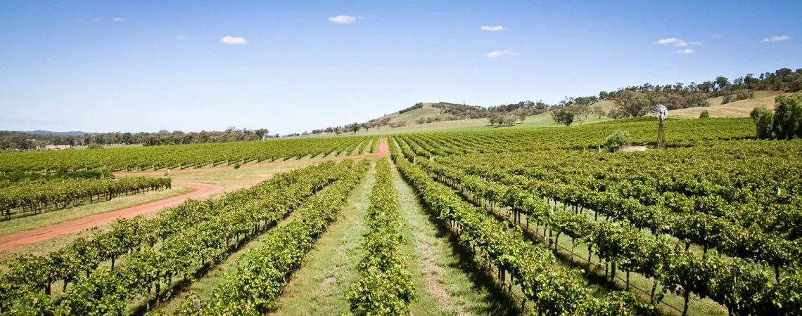 Heathcote Vineyards Tyrrells