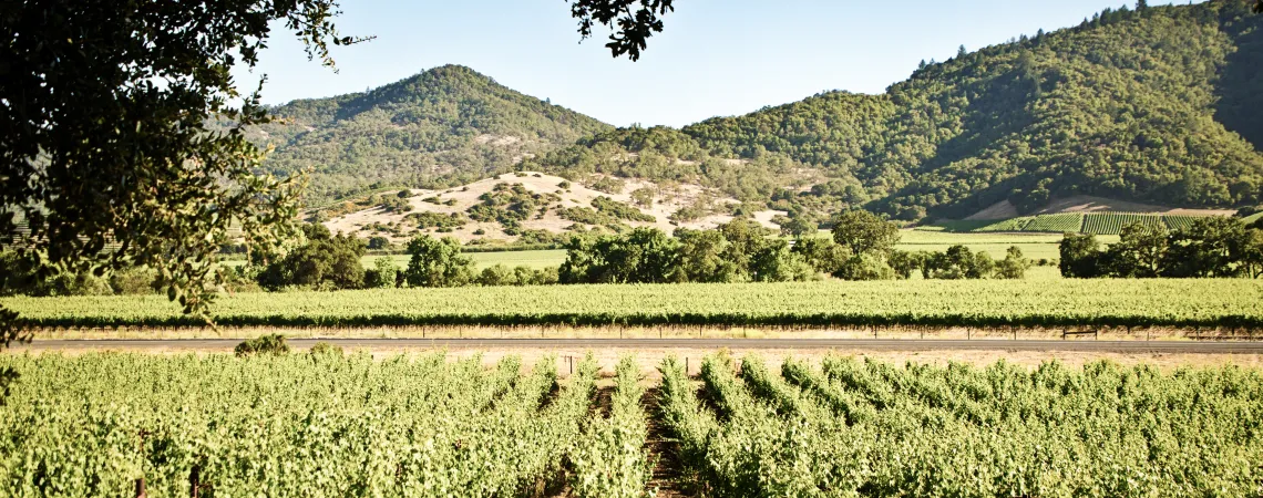 Napa-Valley.jpg