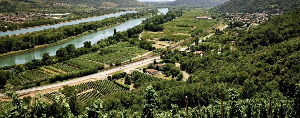Rhone2