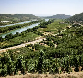 Rhone2