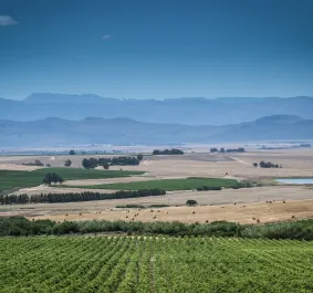 Swartland.jpg
