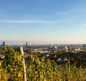 lenikus_weingut.jpg