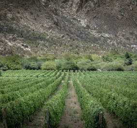 salta