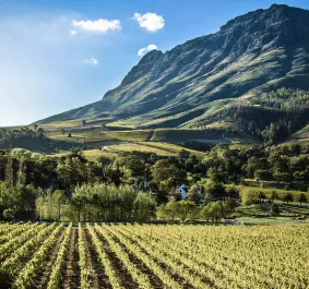 suedafrika stellenbosch 2000x1200