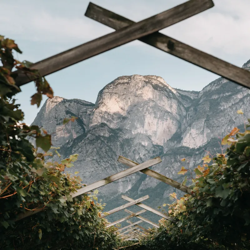 trentino3