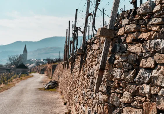 84 domaene wachau 2022 feichtinger