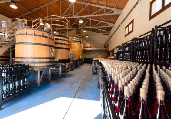 Bodegas Margon (2)