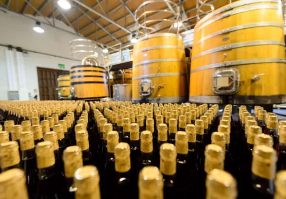 Bodegas Margon (3)