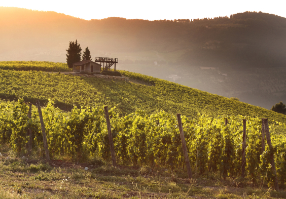 Frescobaldi (12)