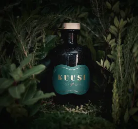 Kuusi